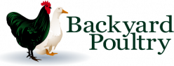 Backyard Poultry logo